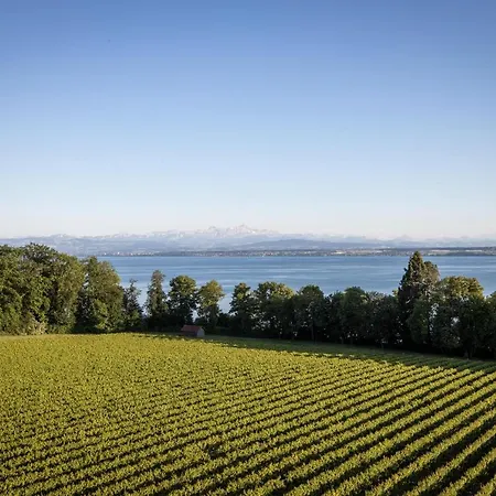 Appartement Schloss Kirchberg -appartment Fleur *